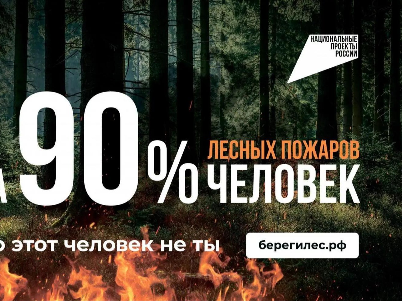 Нужно опередить огненную стихию. Соблюдение установленных правил пожарной безопасности поможет сохранить наш лес.