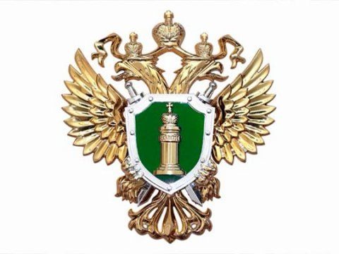 Прокуратура Кяхтинского района информирует  об уголовной ответственности за преступления в сфере информационно-телекоммуникационных технологий.